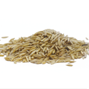 Oat grain